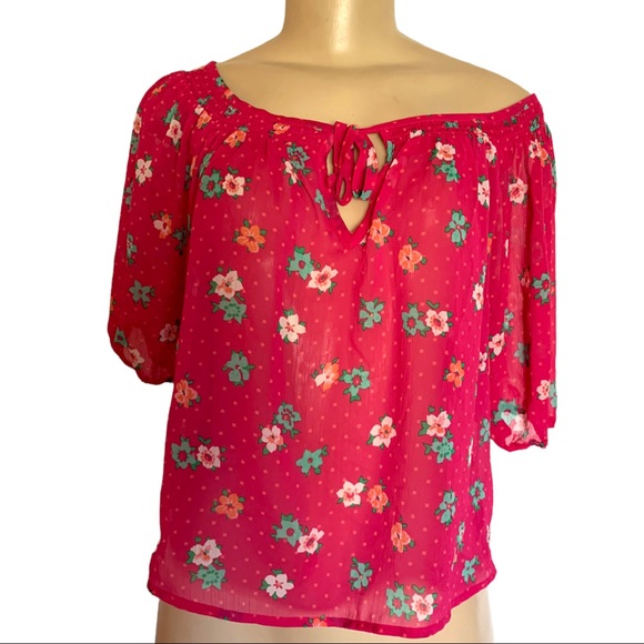 Hollister Sheer Summer Floral Keyhole Neck Tie Ragland Sleeve Cropped Top Sm - Picture 8 of 8